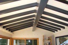 plafond carenia noir