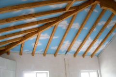 Faux plafond avec trompe oeil
