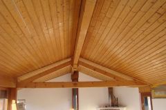 faux-plafond-avant