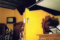 Peinture Garage