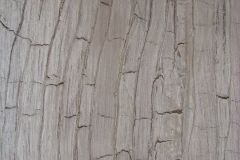 Mur immitation écorce arbre